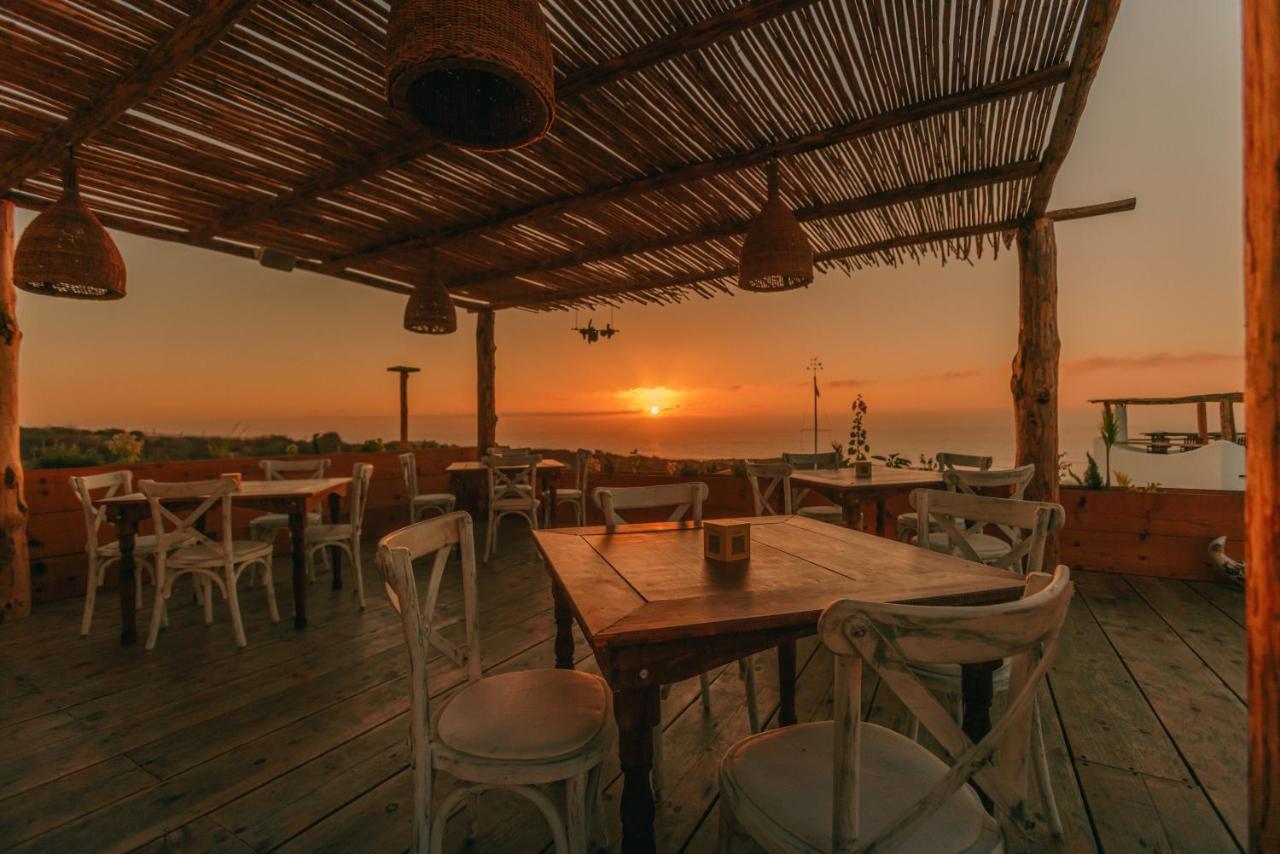 Nest Baja Hotel ซานโฮเซ เดล กาโบ ภายนอก รูปภาพ