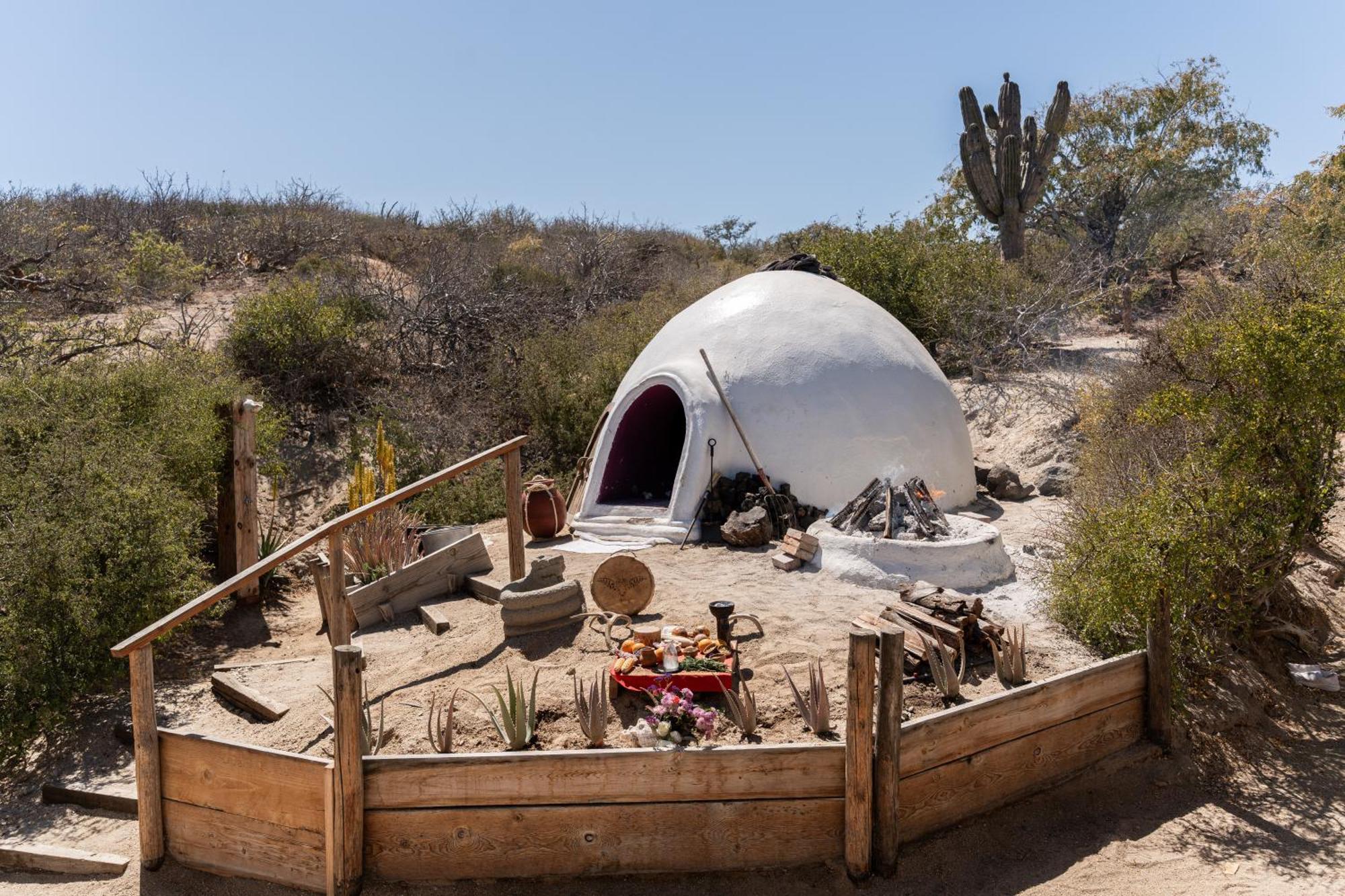 Nest Baja Hotel ซานโฮเซ เดล กาโบ ภายนอก รูปภาพ
